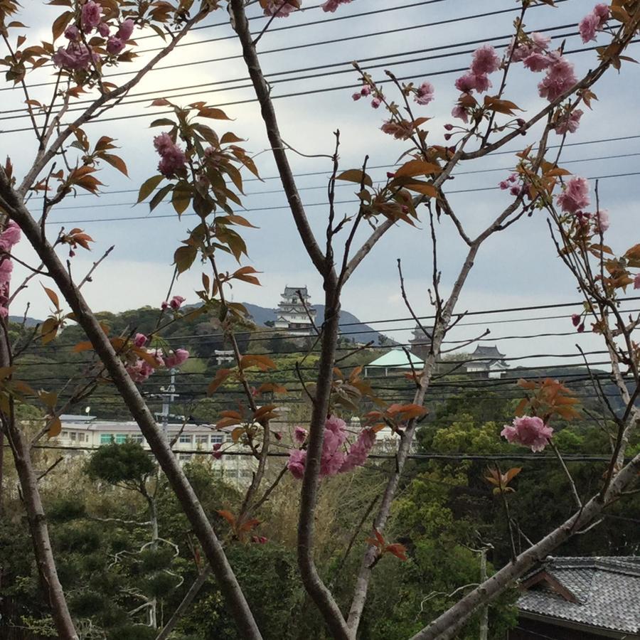 Hotel Saiyo Wakigawa Hirado Exterior photo